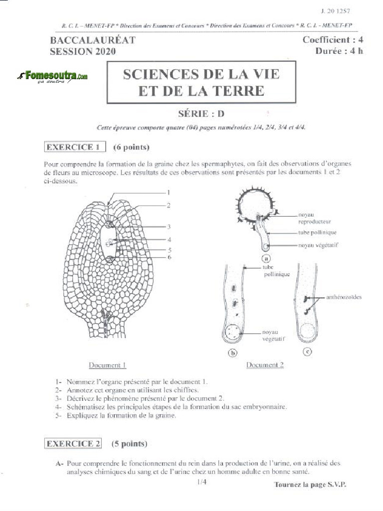 Epreuve Bac Svt Explication – Grille De Notation Bac Svt – BQTTG