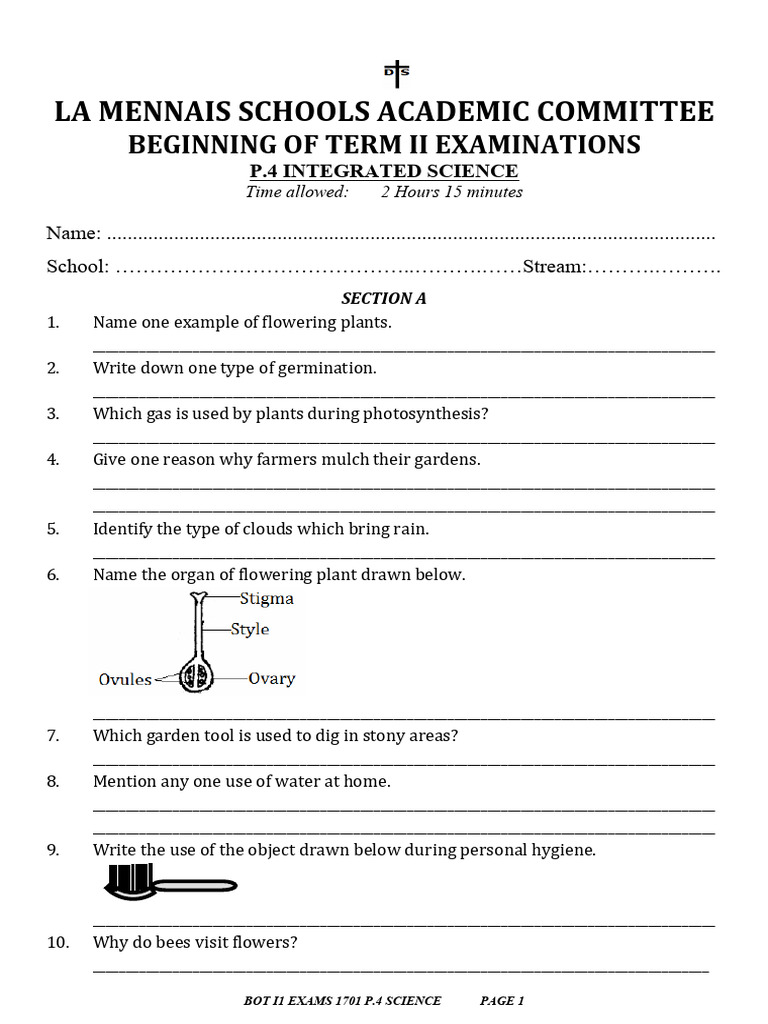 P.4 Science Beginning of Term 2 | PDF