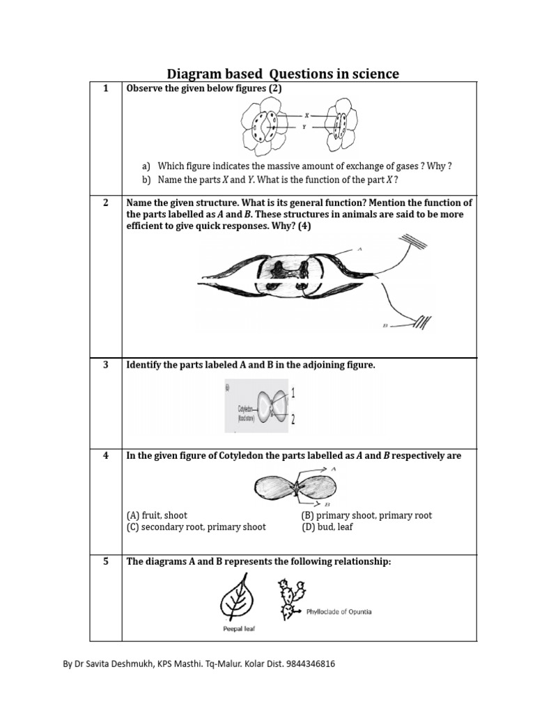 Diagram Based Qns in Science - Docx-1 | PDF | Electrical Engineering ...