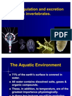 7.osmoregulation and Excretion in Invertebrates - Final