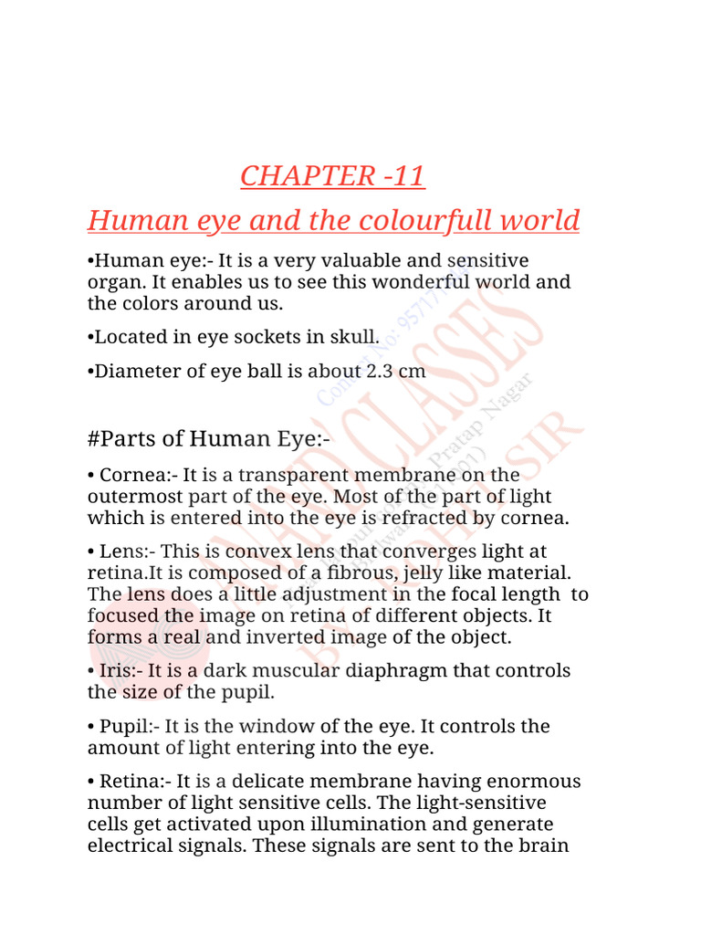 Chapter 11 | PDF