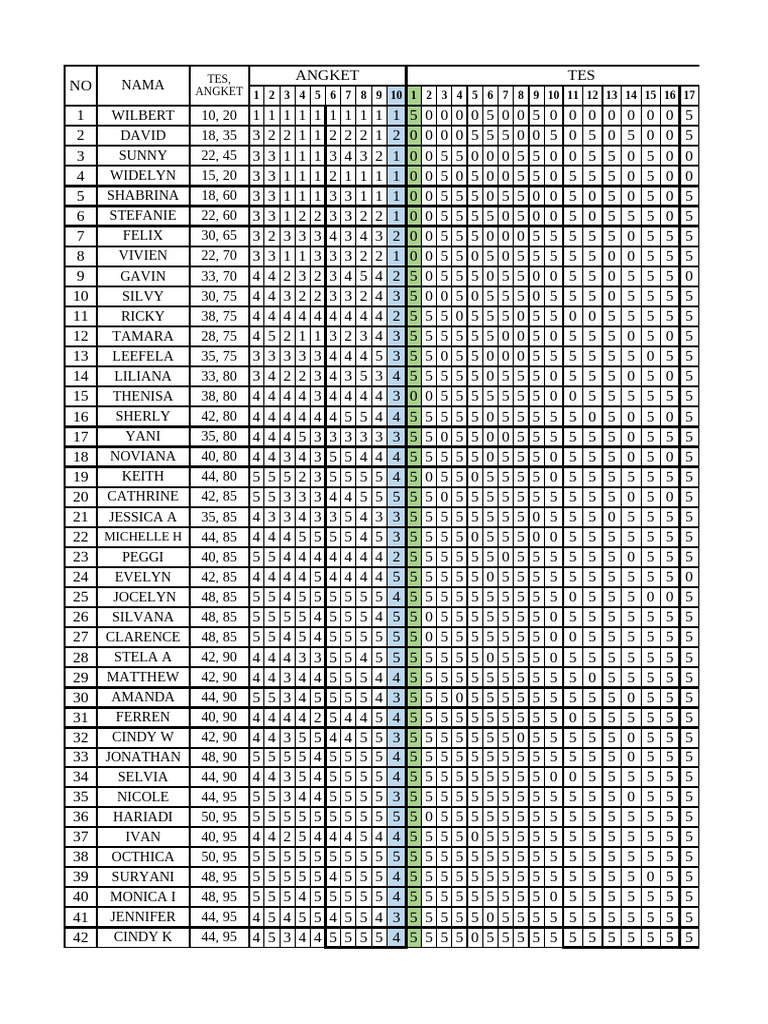 Raw File Angket Dan Tes | PDF