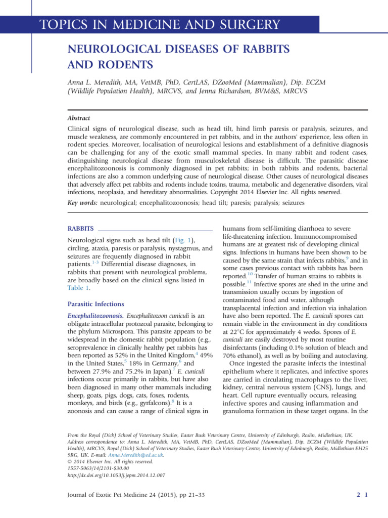 Neurological Diseases of Rabbits and Roden - 2015 - Journal of Exotic ...