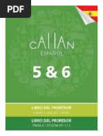 Stage 8 Teacher's Book Callan Third Edition | PDF