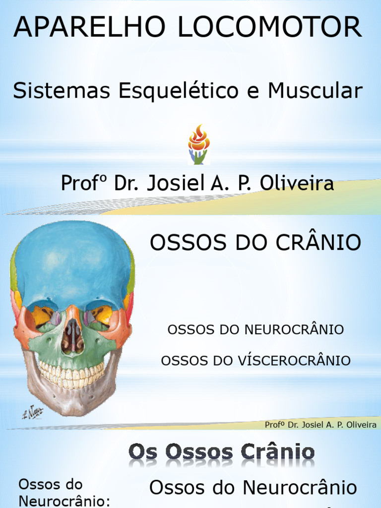 Aula 5 Ossos Do Crânio Pdf