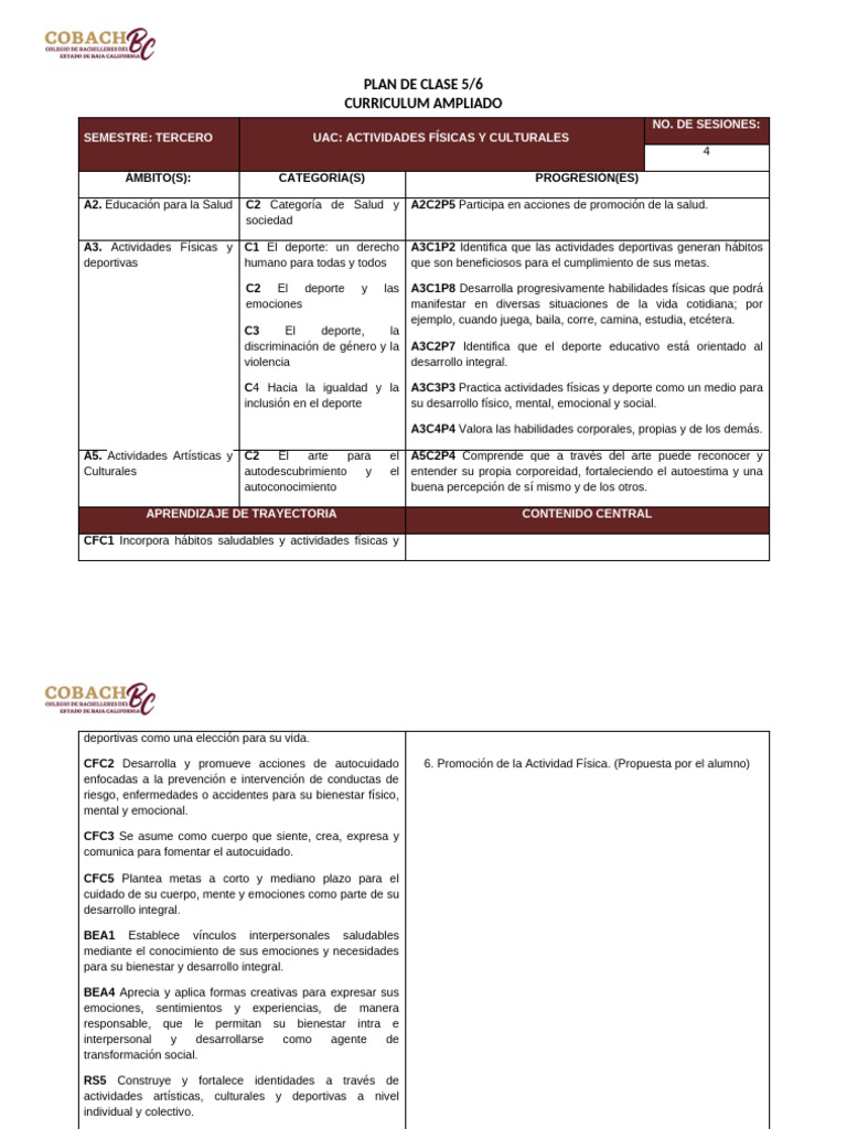 Afyciii Plan Clase 5 | PDF | Deportes | Crecimiento personal y profesional