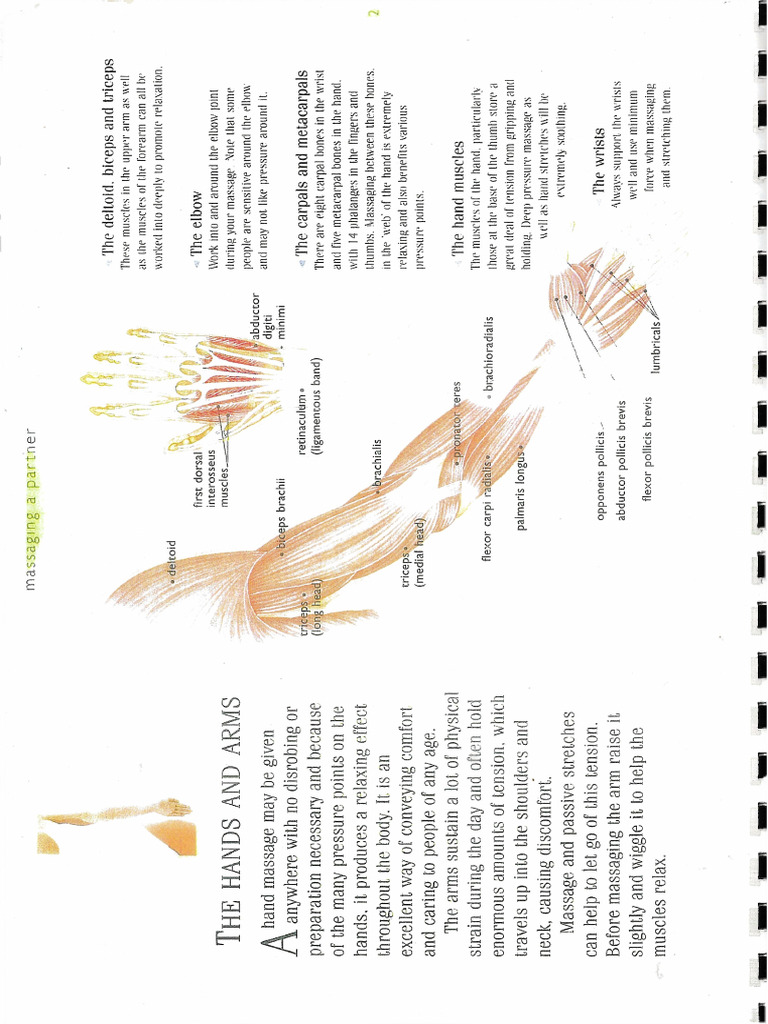 Massage The Hands and Arms | PDF