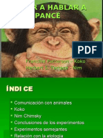Enseñar a Hablar a Un Chimpance