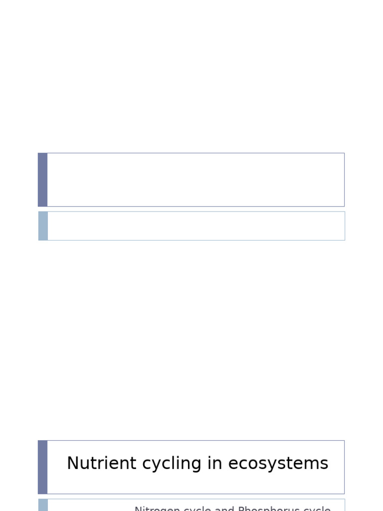 3 ANutrient Cycling | PDF