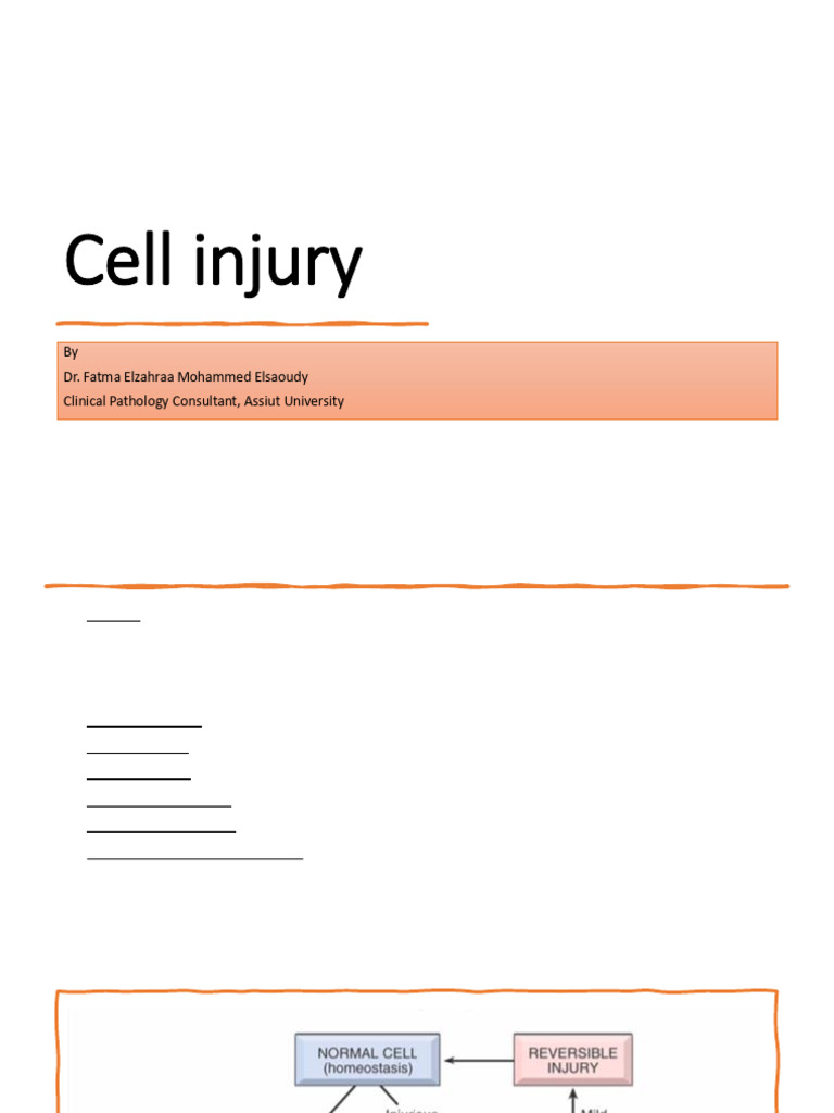 Cell Injury | PDF