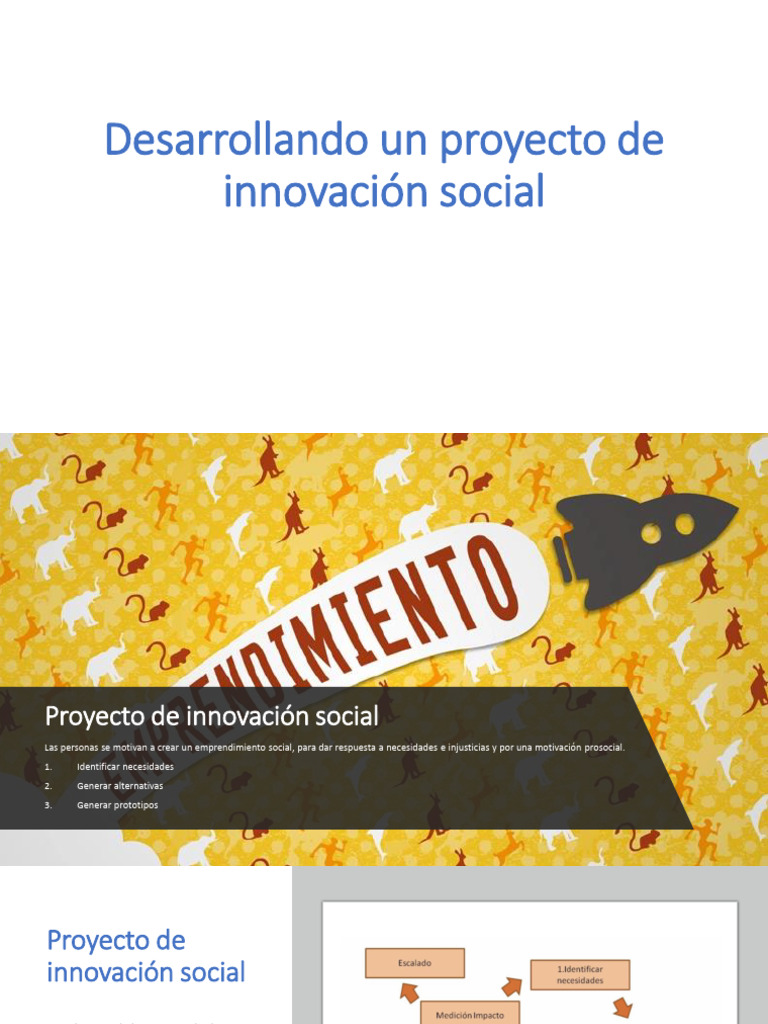 Desarrollando Un Proyecto de Innovación Social | PDF
