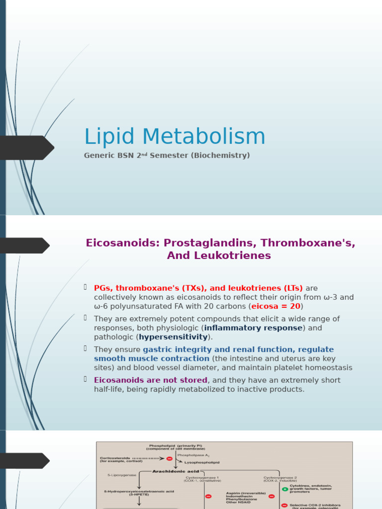 Lipid Metabolism IV | PDF