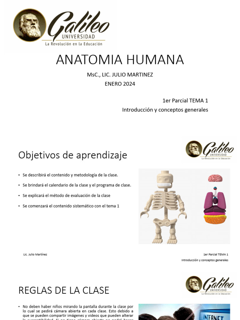 Anatomia Humana Tema 1 1 | PDF