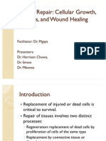 Tissue Repair. Prsntn. Updated