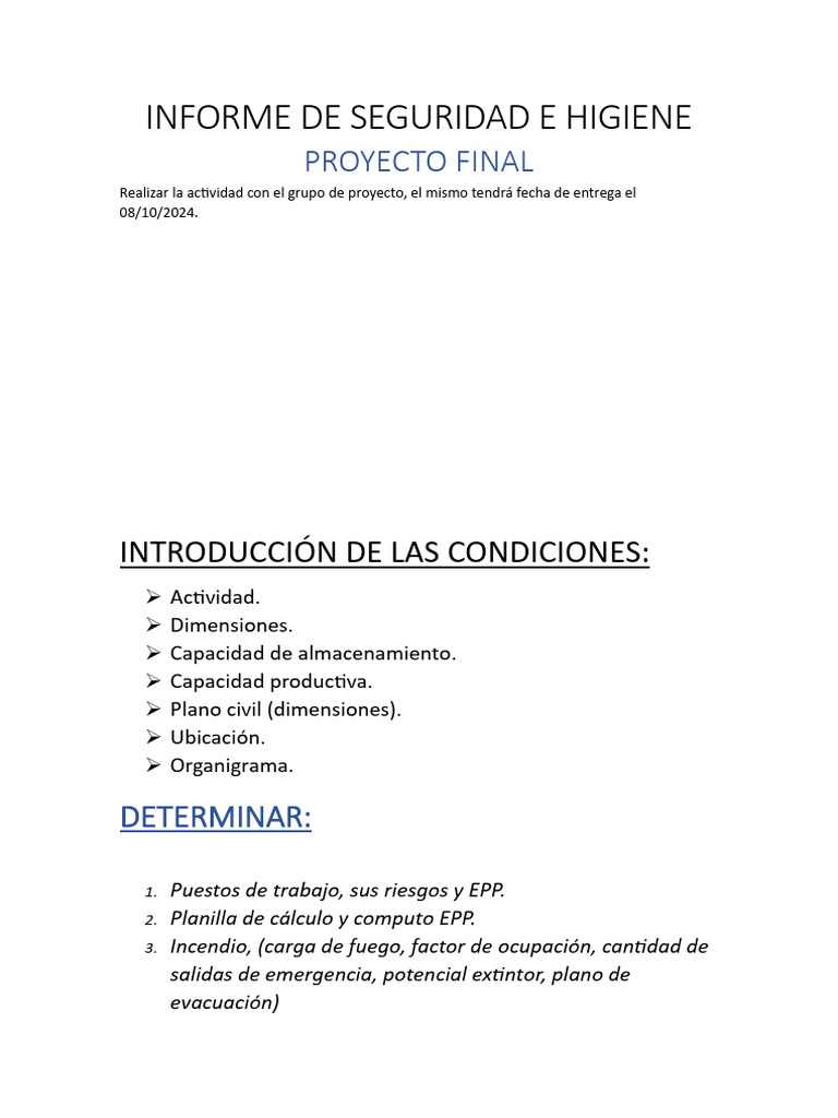 Informe de Seguridad e Higiene | PDF