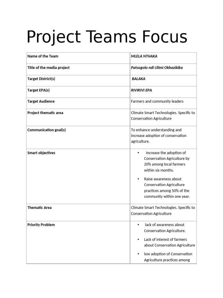 Project Teams Focus | PDF
