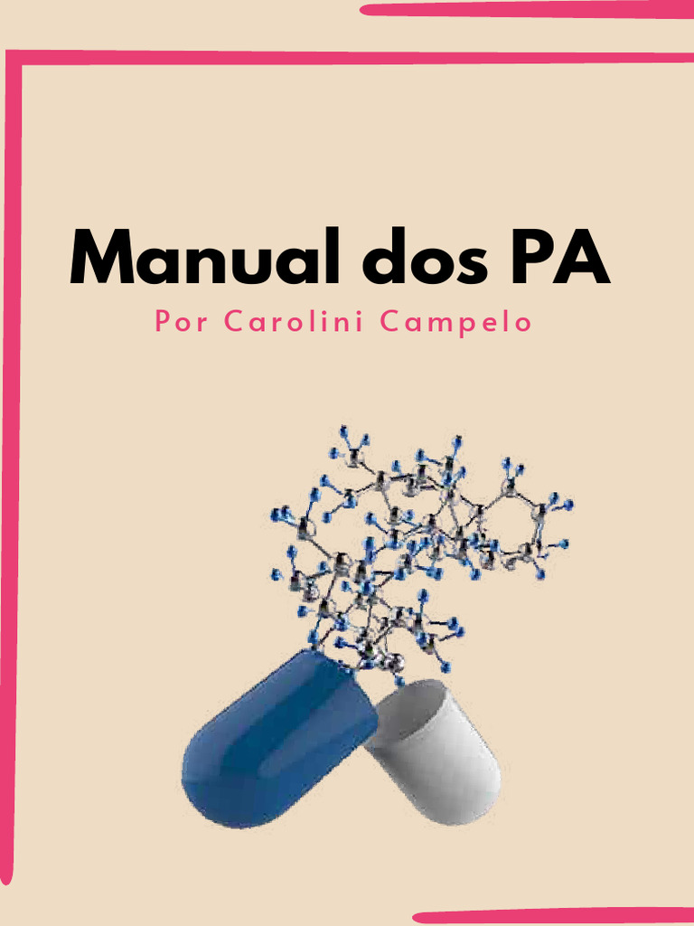 Manual+dos+PA+-+2 0 | PDF