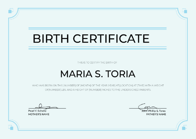 PRINTABLE BLANK BIRTH CERTIFICATE TEMPLATE intelligence overview