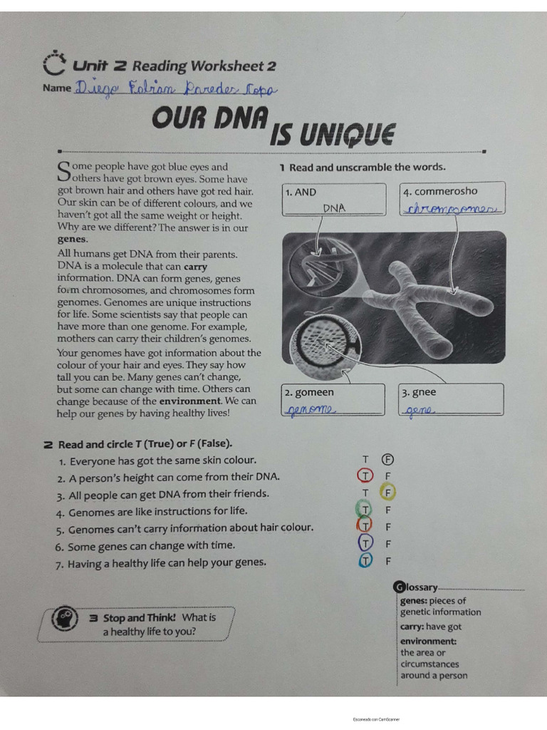 Reading of The DNA | PDF