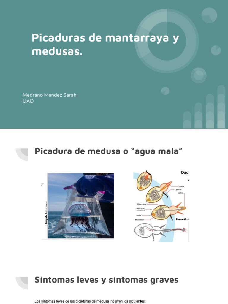 Picaduras de Mantarraya y Medusas. | PDF
