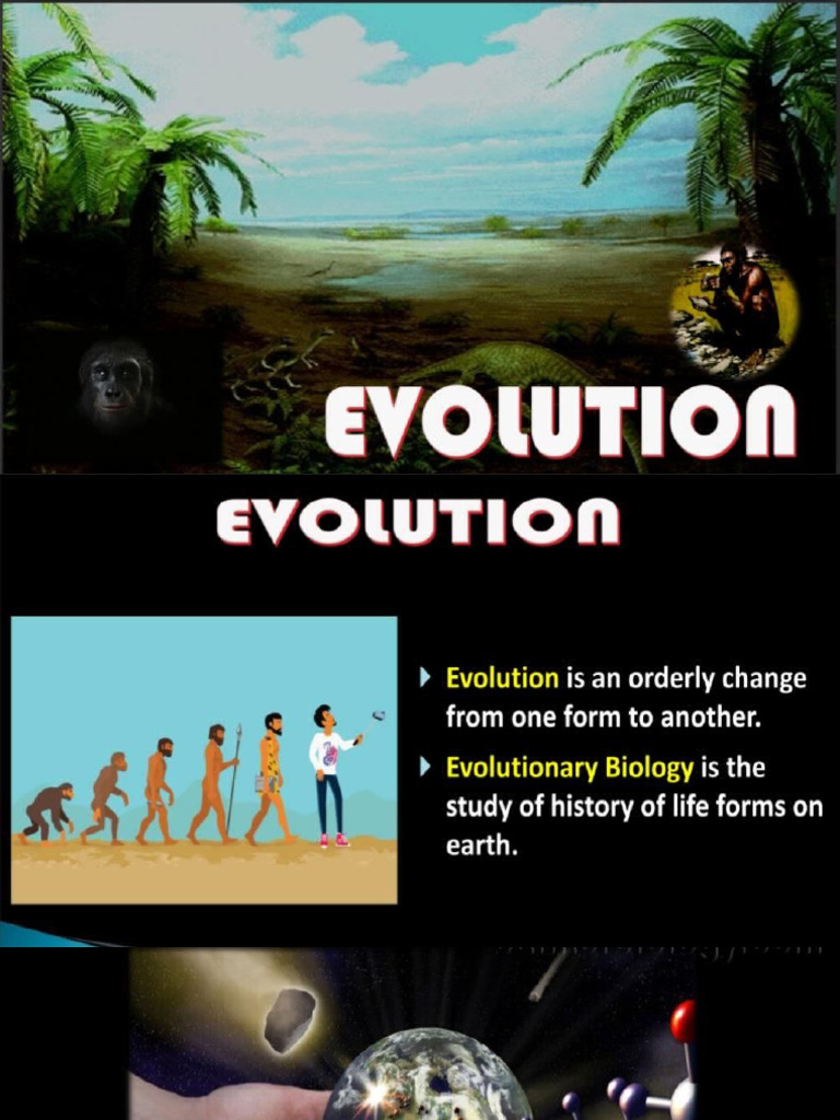 Evolution | PDF