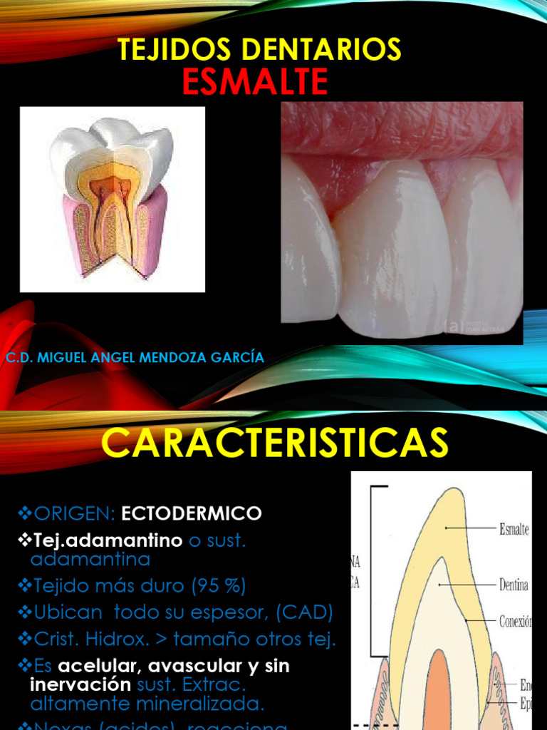 Esmalte Dental Pdf