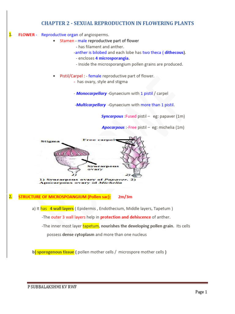 Chapter 2 SEXUAL REPRODUCTION IN FLOWERING PLANTS | PDF