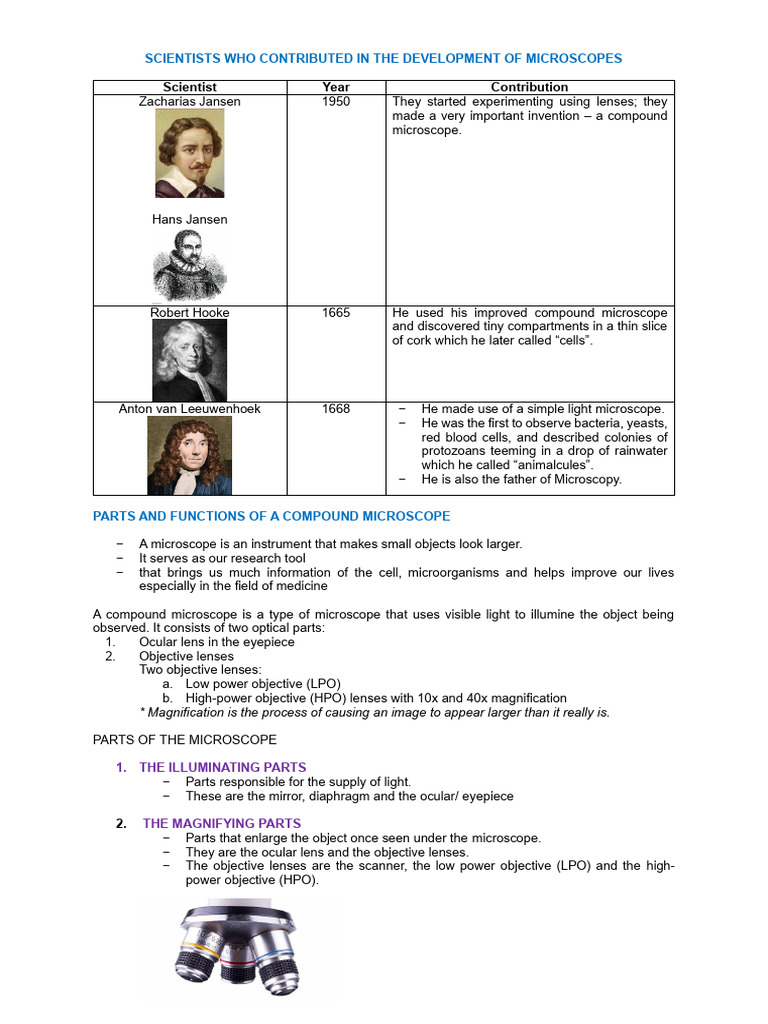 Grade 7 Microscope Parts and Functions | PDF | Microscope | Optical Devices