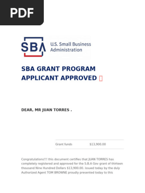 Sba Program | PDF