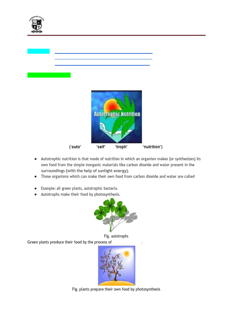 Life processes handout 2 pdf