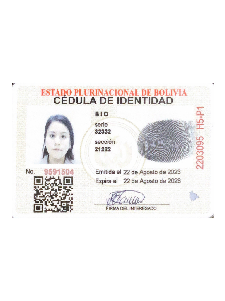 Estado Plurinacional de Bolivia | PDF