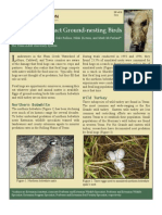 Feral Hogs' Impact on Ground-Nesting Birds