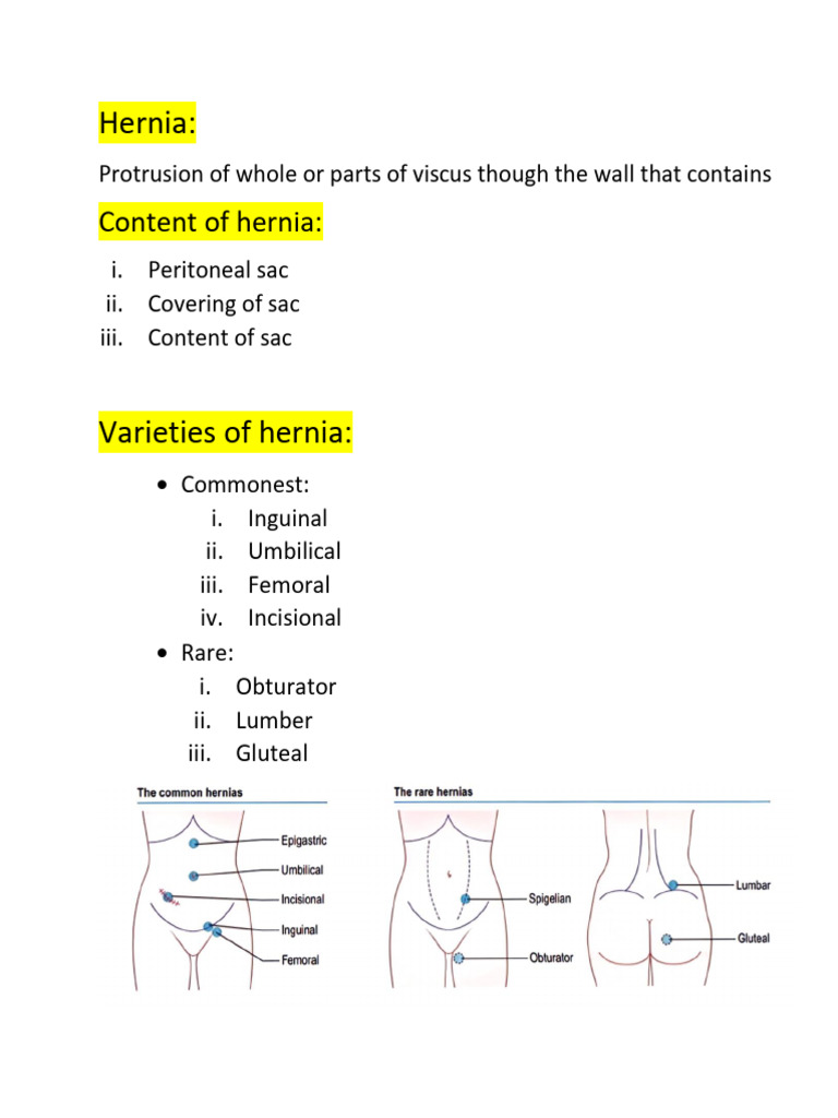 Hernia | PDF