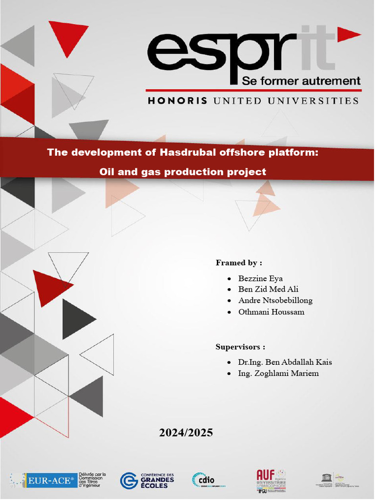 Offshore Report Final | PDF
