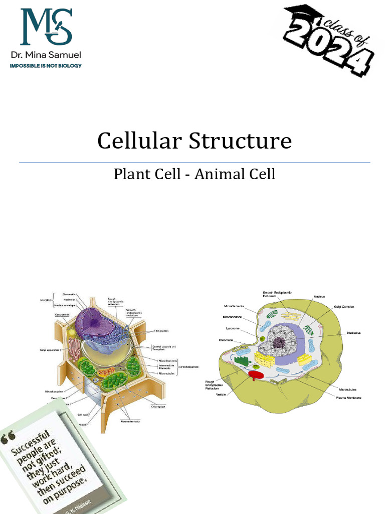 Cellular Structure | PDF