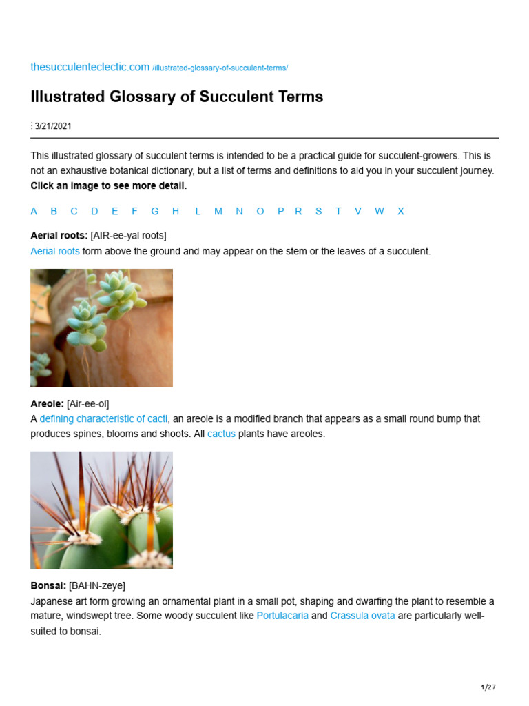 Illustrated Glossary of Succulent Terms | PDF