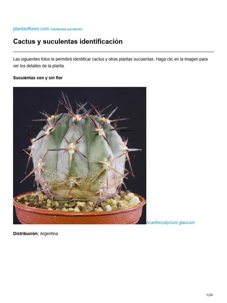 Cactus y Suculentas Identificación | PDF
