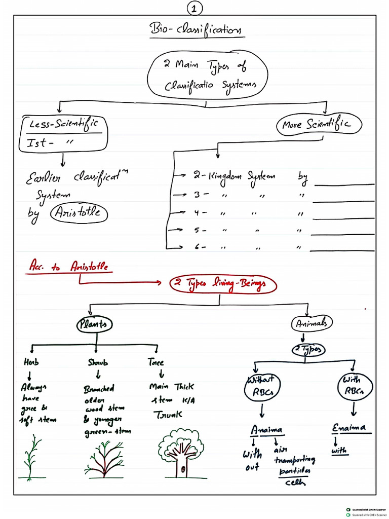 Bioclassification E1 Kingdom System Raw New | PDF