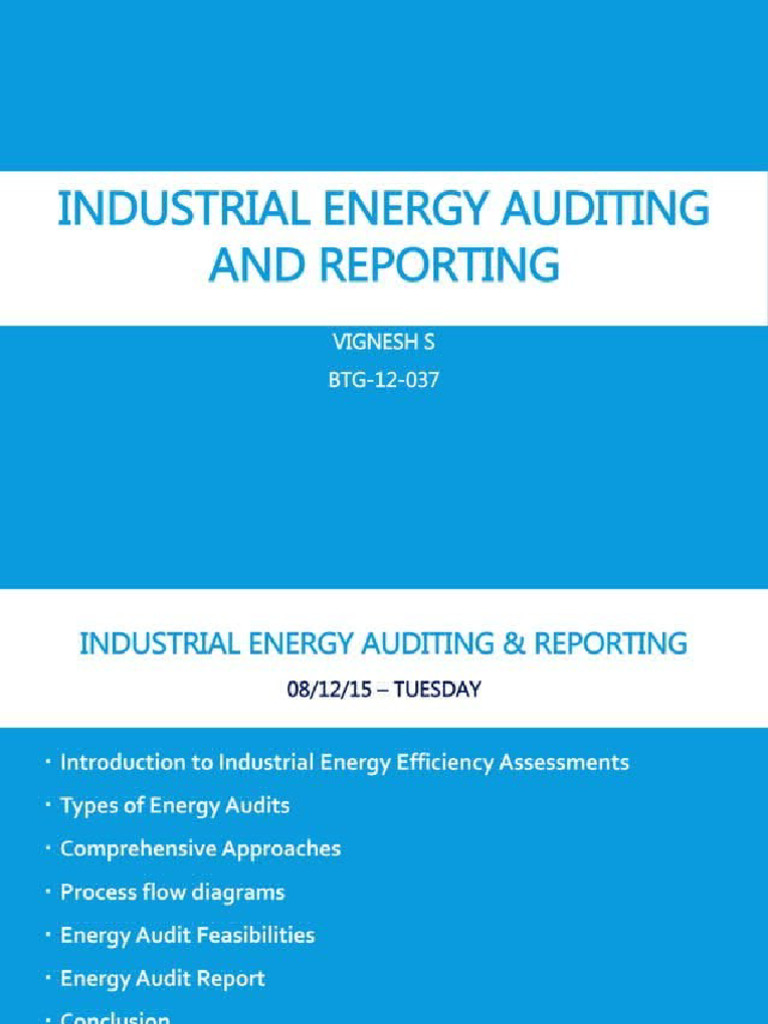 Auditing and report | PDF