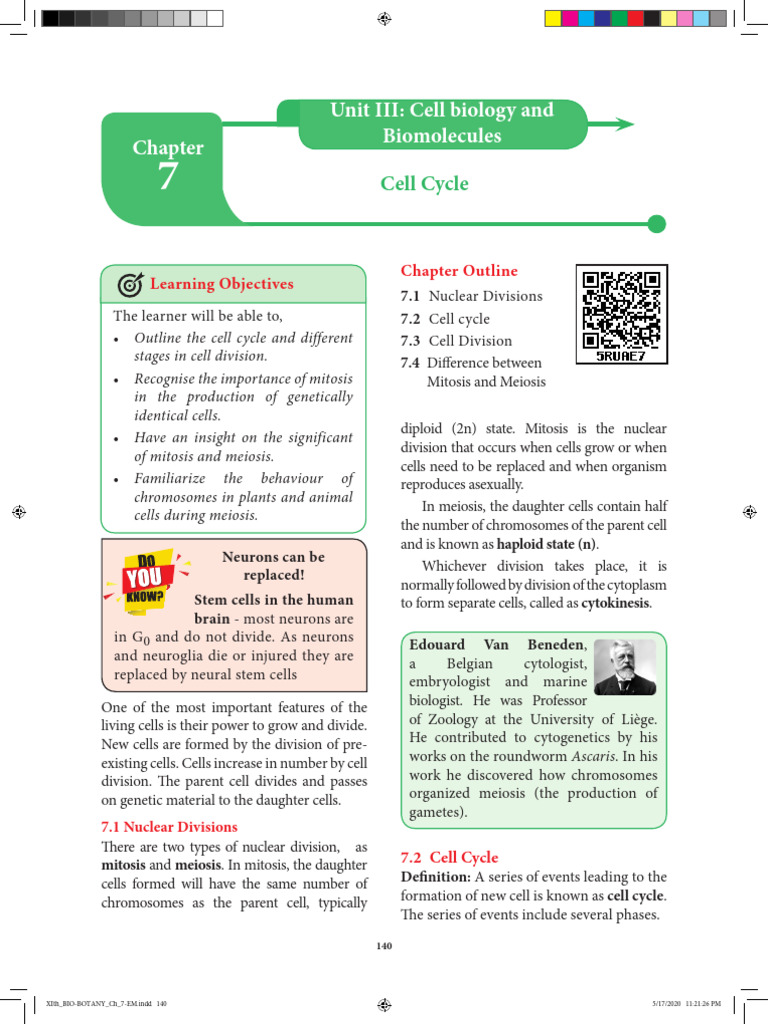 07 Cell Cycle | PDF