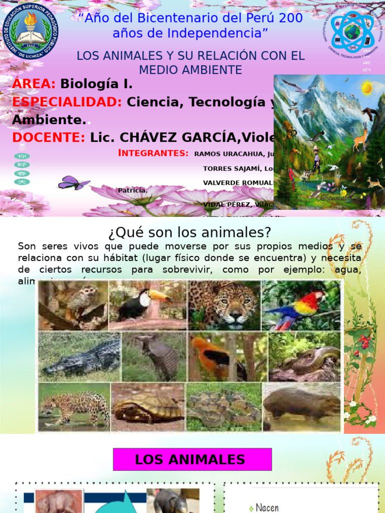 Grupo #1-Los Animales y Su Relación Con El Medio Ambiente-Waldir | PDF