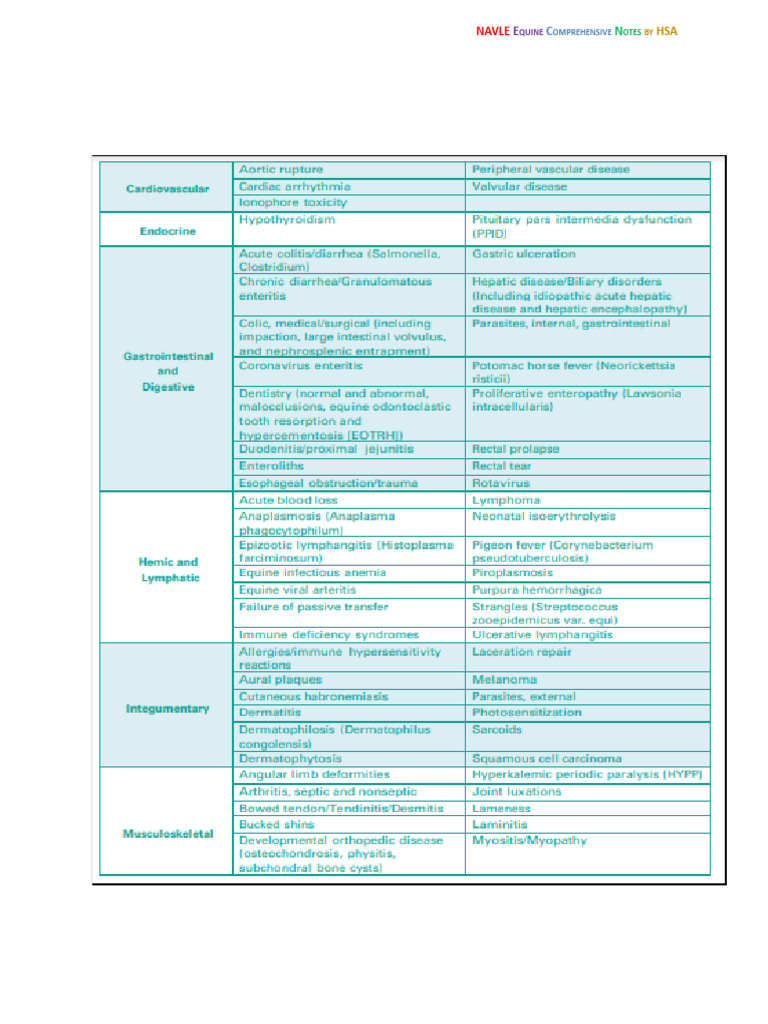 NAVLE Equine HSA | PDF