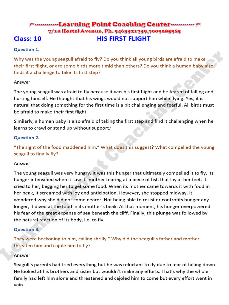 His First Flight Pdf