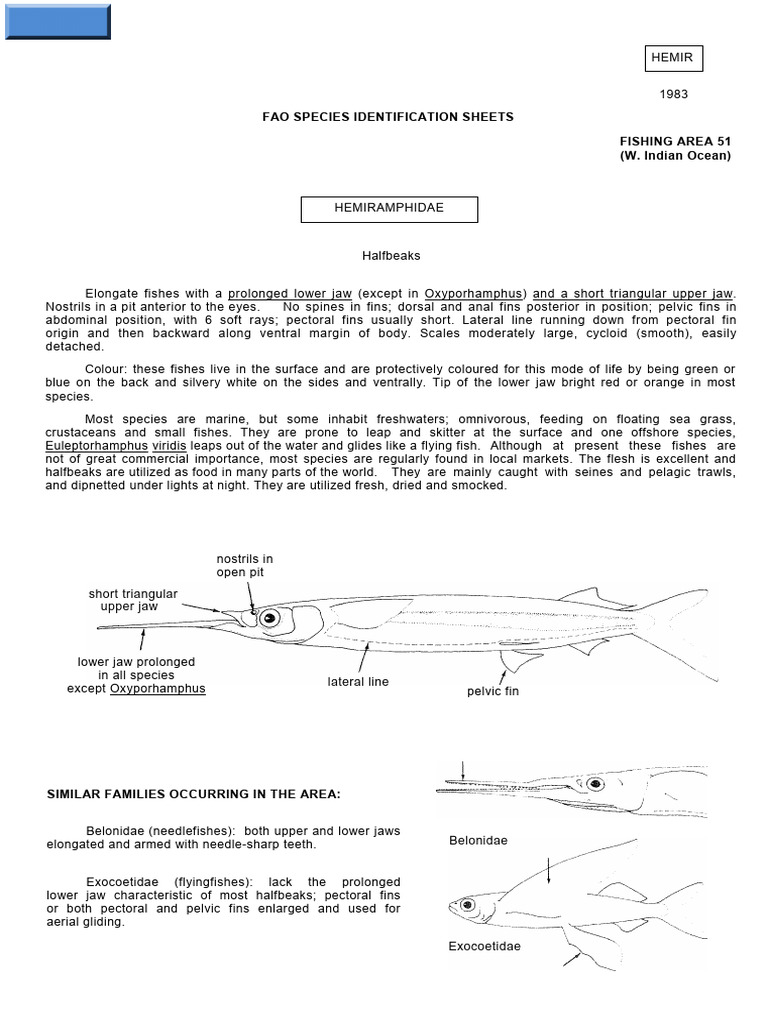 Fao Species Identification Sheets Fishing Area 51 (W. Indian Ocean) | PDF