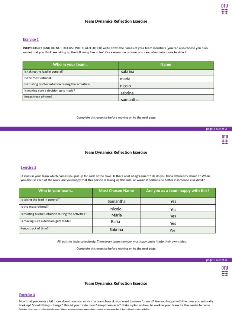 Team Dynamics Exercise | PDF