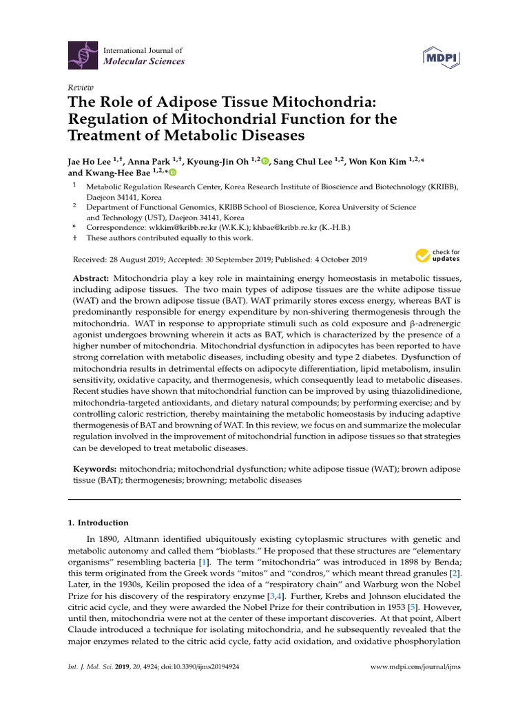 The Role of Adipose Tissue Mitochondria - Regulation of Mitochondrial ...