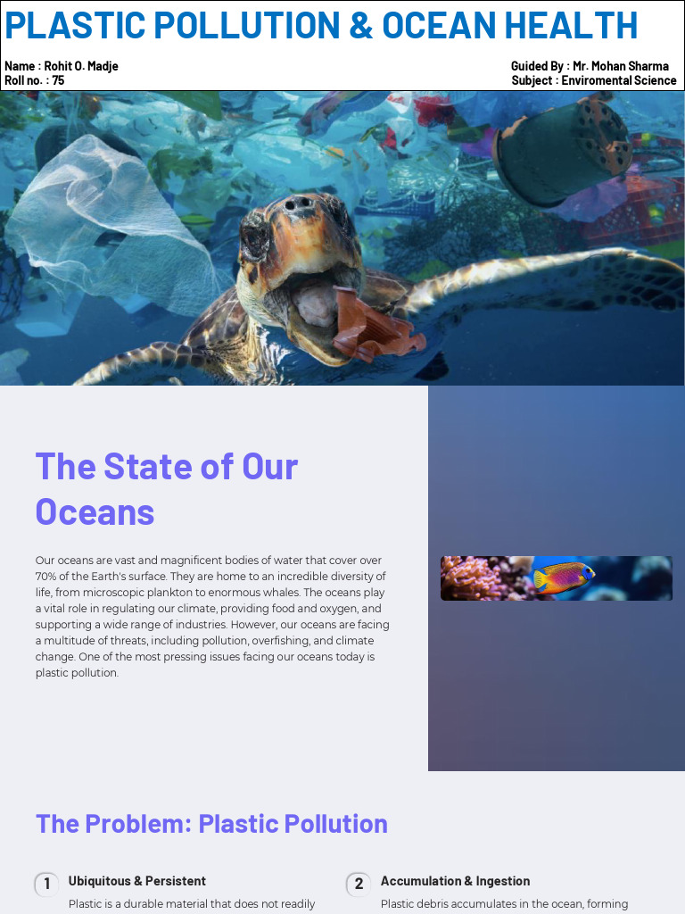 Ocean Plastic Pollution Solutions | PDF | Plastic | Science & Mathematics