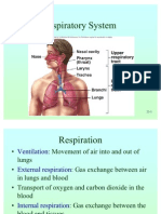 Respiration