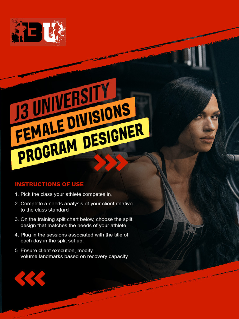 Program Designer | PDF