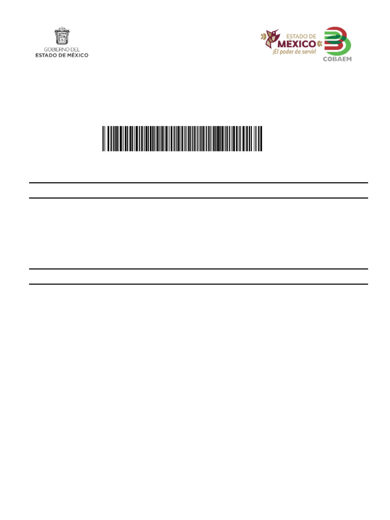 Formato De Pago 970000207028969063857704241 Pdf